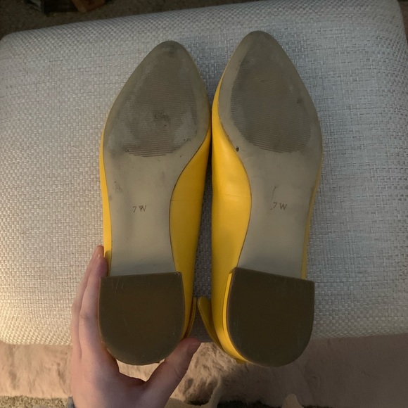 Talbots Flats - Picture 6 of 6